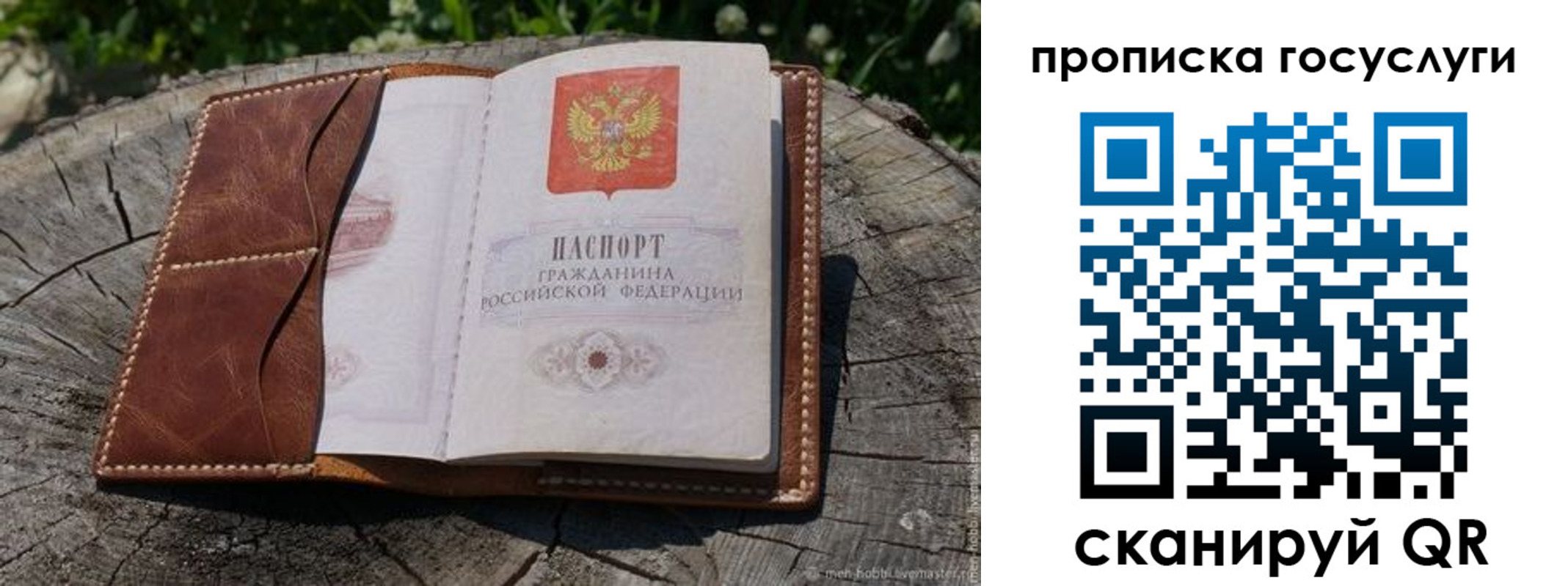 прописка для школы в Родниках